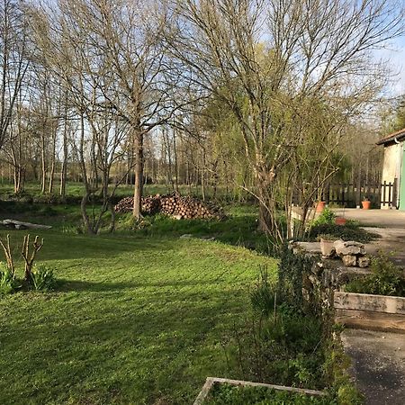 Ancien Moulin A Eau Sur La Seugne Apartment Mosnac  Exterior photo