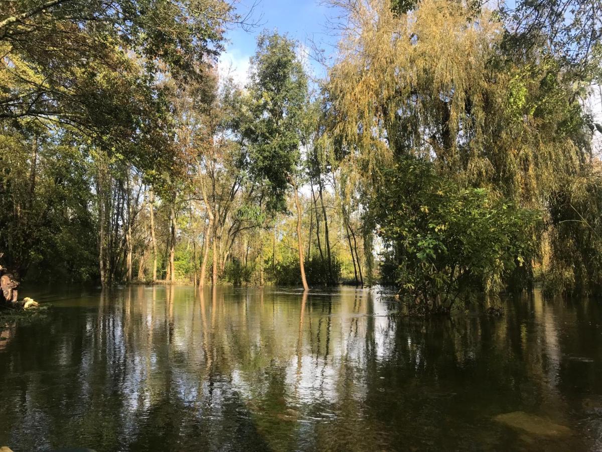 Ancien Moulin A Eau Sur La Seugne Apartment Mosnac  Exterior photo